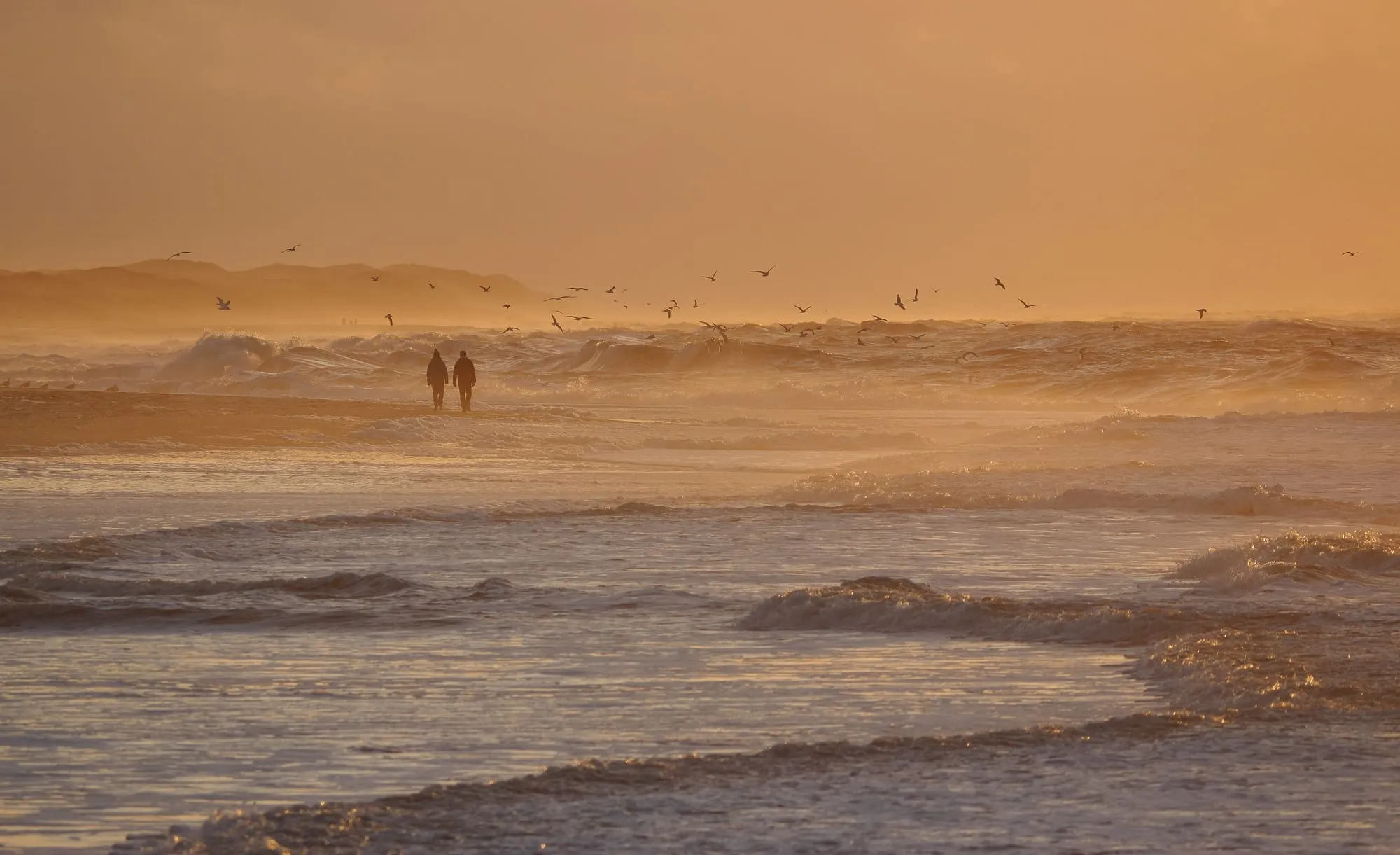 Couple on the shoreline at sunset